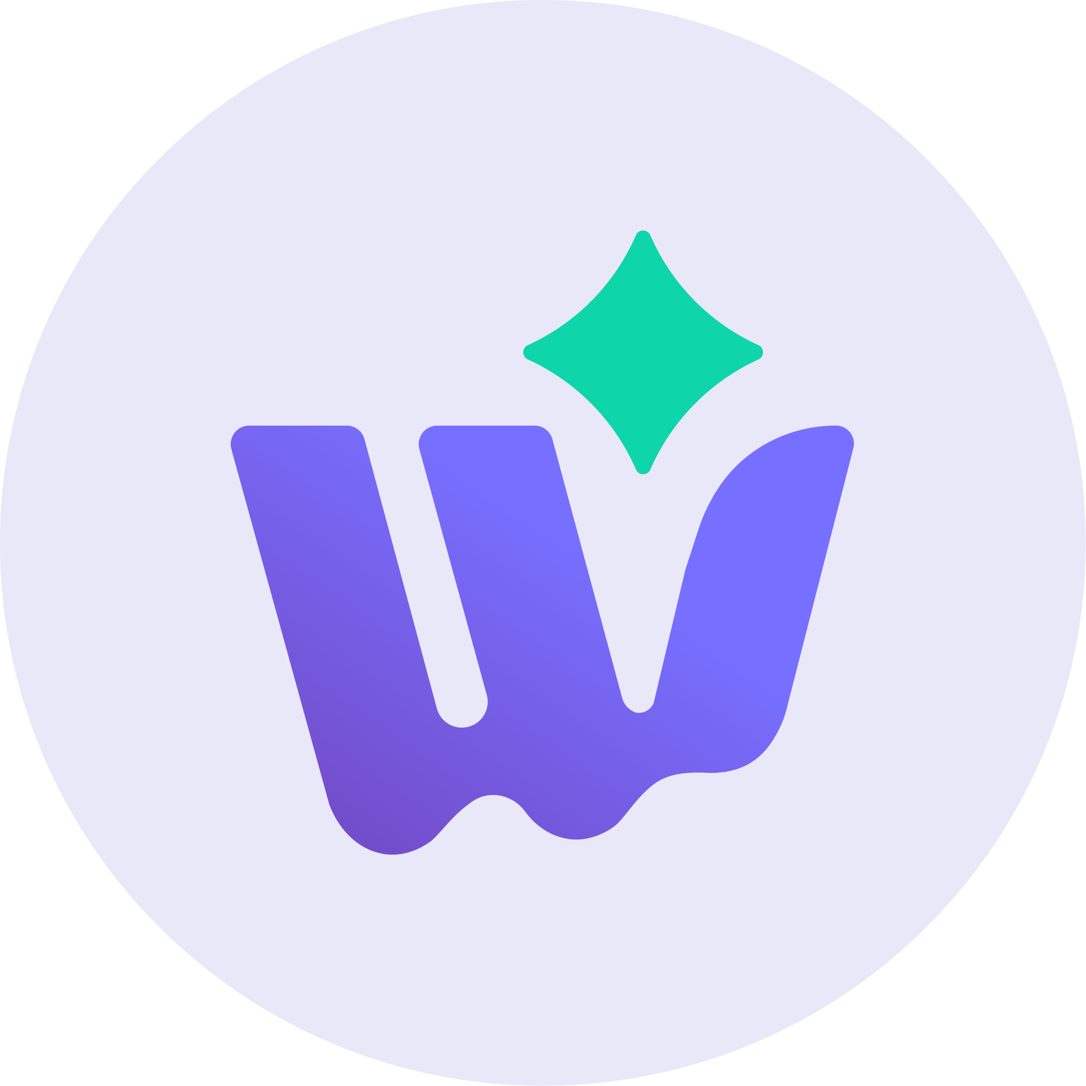 Waizant Team